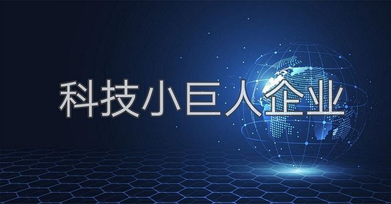 科技小巨人是什么？廣州市企業(yè)科技小巨人怎么認(rèn)證申請(qǐng)