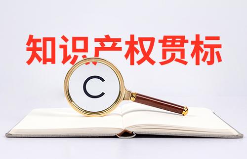小微初創(chuàng)企業(yè)怎么申請知識產(chǎn)權(quán)貫標(biāo)？
